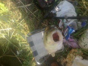 26052013461.jpg