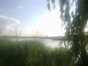 26052013455.jpg