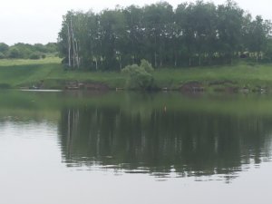 20130525_071924.jpg