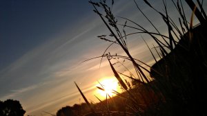 IMAG0807.jpg