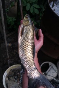 IMAG0248.jpg