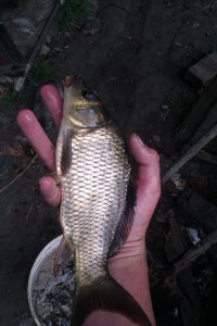 IMAG0249.jpg