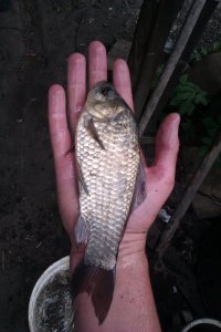 IMAG0250.jpg