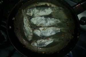 IMAG0256.jpg