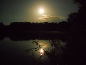 DSCN9761_новый размер.JPG