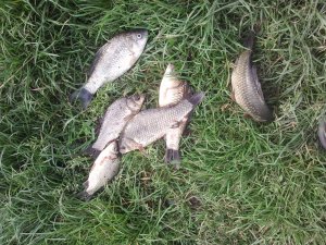 IMG_20130521_165949.jpg