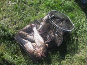 IMG_2562.jpg