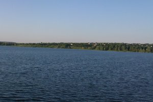 IMAG0264.jpg