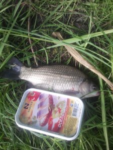 IMG_20130601_083219.jpg