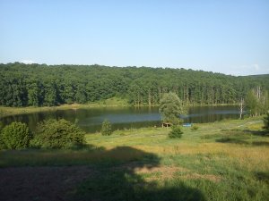 DSC00074.jpg