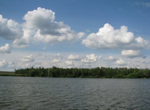 IMG_9562.JPG
