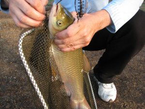 IMG_9605.JPG