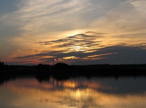 IMG_9626.JPG
