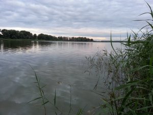 20130604_044302.jpg