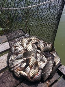 20130604_130505.jpg