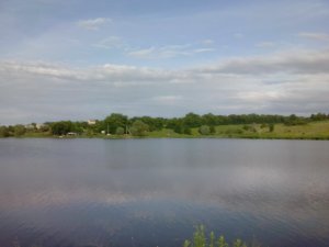 IMG_20130604_064246.jpg