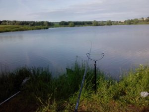 IMG_20130604_064203.jpg