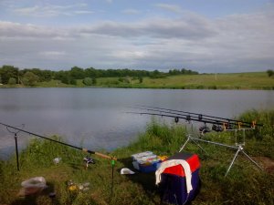 IMG_20130604_064220.jpg