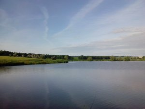 IMG_20130604_064250.jpg