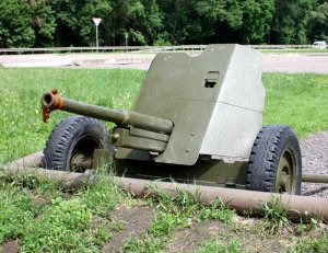 444 067.jpg