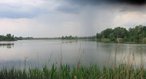 камплица.JPG