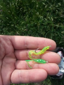 20130606_093715.jpg