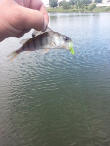 20130606_100513.jpg
