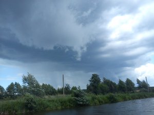 DSC00091.jpg
