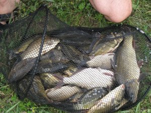 IMG_0297.JPG
