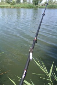 IMAG0281.jpg