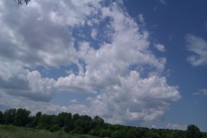 IMAG0283.jpg
