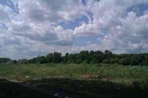 IMAG0284.jpg
