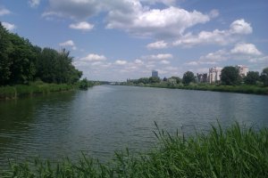 IMAG0287.jpg