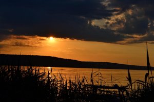 DSC_0640.jpg