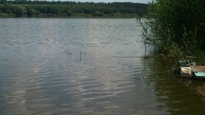 DSC_0201.jpg