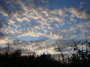DSC00583.JPG