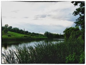 IMG_1045.JPG