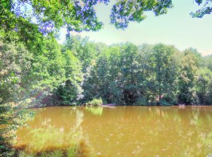 Мерчик 2013-06-22_06.jpg