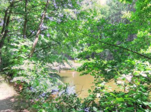 Мерчик 2013-06-22_11.jpg