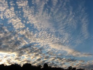 IMG_1083.JPG