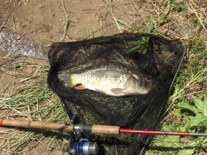 IMG_1091.JPG