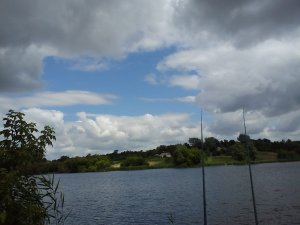 DSC00132.jpg