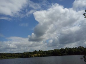 DSC00128.jpg
