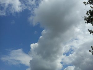 DSC00130.jpg