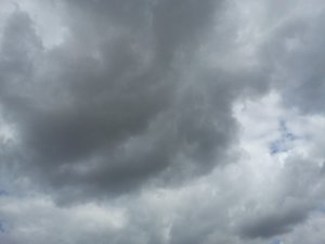 DSC00131.jpg
