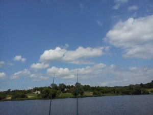 DSC00133.jpg