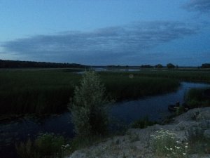 DSC03235.JPG