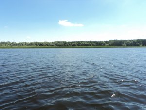 DSC03247.JPG