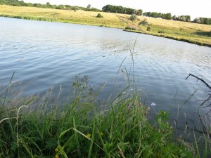 IMG_4137.JPG