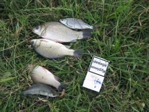 IMG_4149.JPG